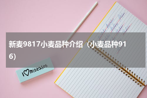 新麦9817小麦品种介绍（小麦品种916）