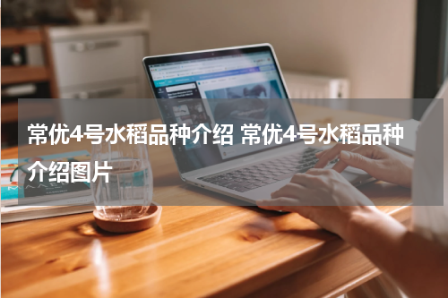 常优4号水稻品种介绍 常优4号水稻品种介绍图片