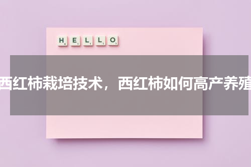 西红柿栽培技术，西红柿如何高产养殖