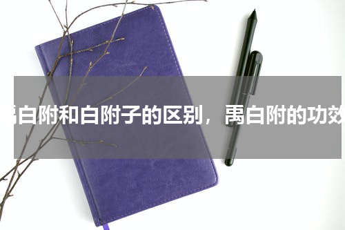 禹白附和白附子的区别，禹白附的功效