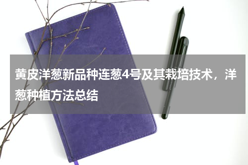 黄皮洋葱新品种连葱4号及其栽培技术，洋葱种植方法总结