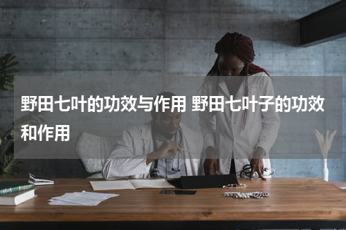 野田七叶的功效与作用 野田七叶子的功效和作用