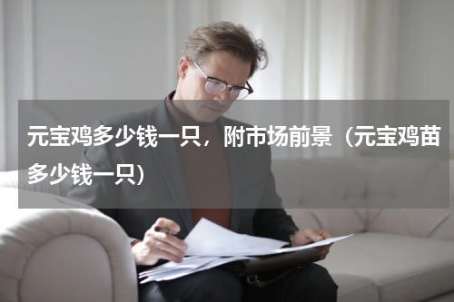 元宝鸡多少钱一只，附市场前景（元宝鸡苗多少钱一只）