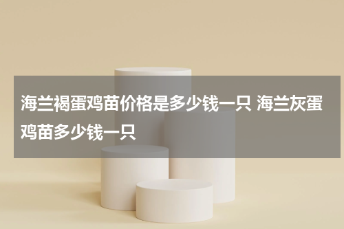 海兰褐蛋鸡苗价格是多少钱一只 海兰灰蛋鸡苗多少钱一只