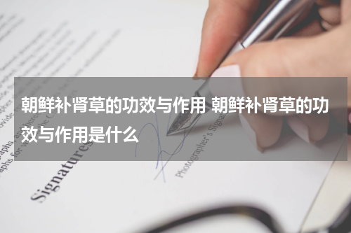 朝鲜补肾草的功效与作用 朝鲜补肾草的功效与作用是什么