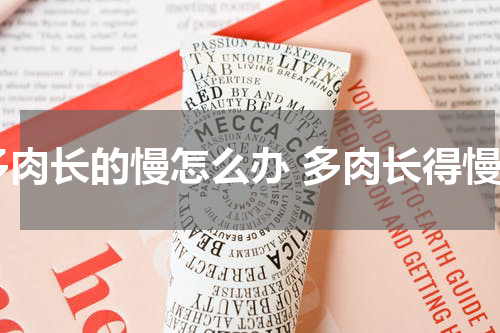 多肉长的慢怎么办 多肉长得慢