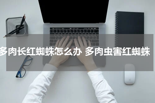多肉长红蜘蛛怎么办 多肉虫害红蜘蛛