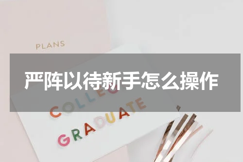 严阵以待新手怎么操作