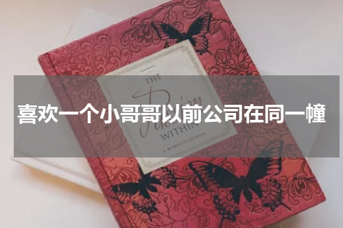 喜欢一个小哥哥以前公司在同一幢