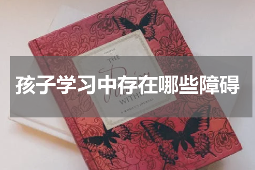 孩子学习中存在哪些障碍