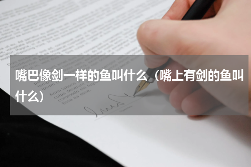 嘴巴像剑一样的鱼叫什么（嘴上有剑的鱼叫什么）