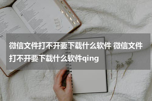 微信文件打不开要下载什么软件 微信文件打不开要下载什么软件qing