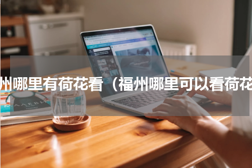 福州哪里有荷花看（福州哪里可以看荷花）