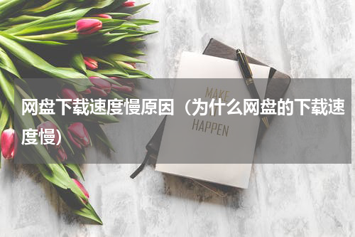 网盘下载速度慢原因（为什么网盘的下载速度慢）