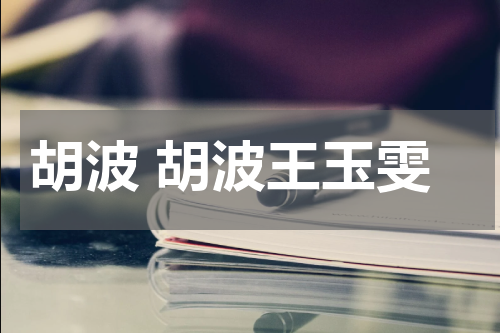 胡波 胡波王玉雯